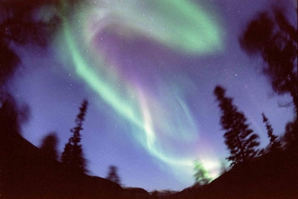 Размещенное изображение