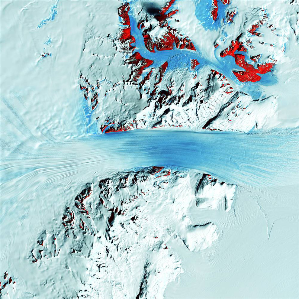 ледник Берд